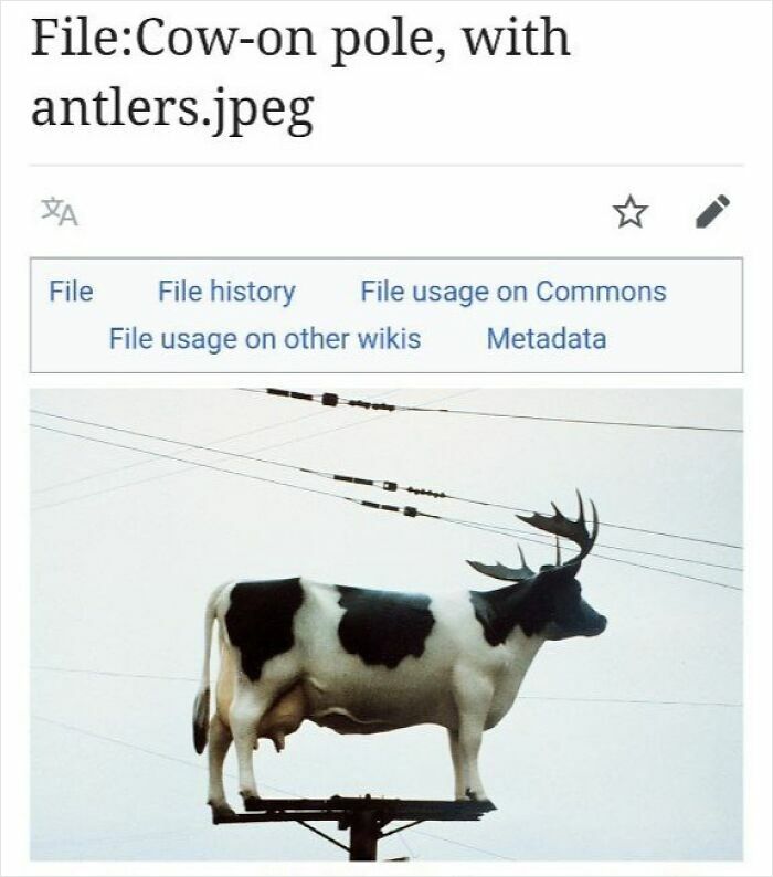 Funny Wikipedia page image showing a cow with antlers on a pole, part of c*****d people up moments shared online.