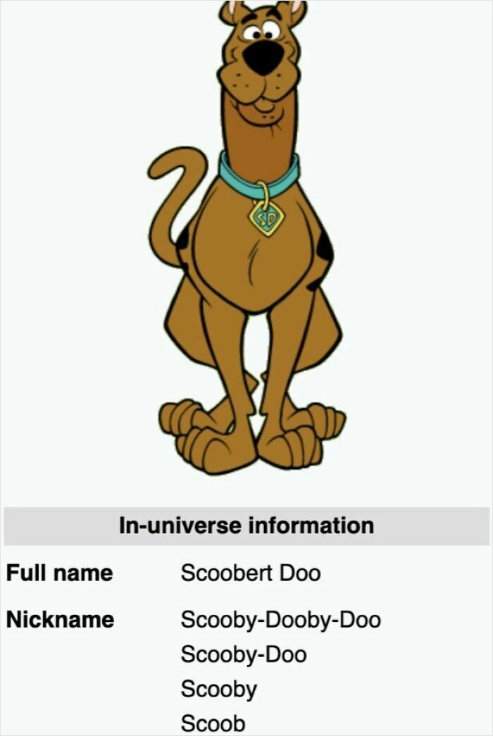 Cartoon dog Scoobert Doo with info on nickname variations from humorous Wikipedia pages shared online.