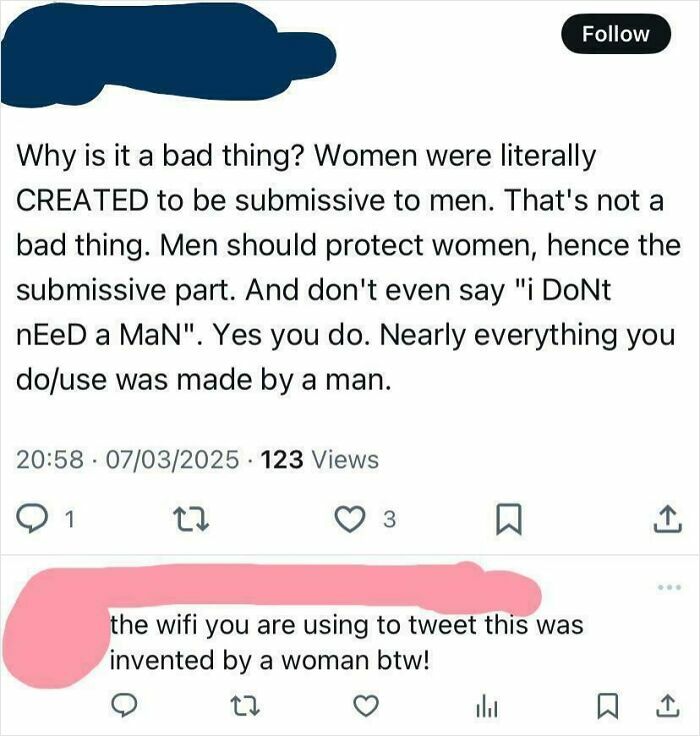 Twitter post debate on gender roles with a savage woman roasting men online over invention facts.