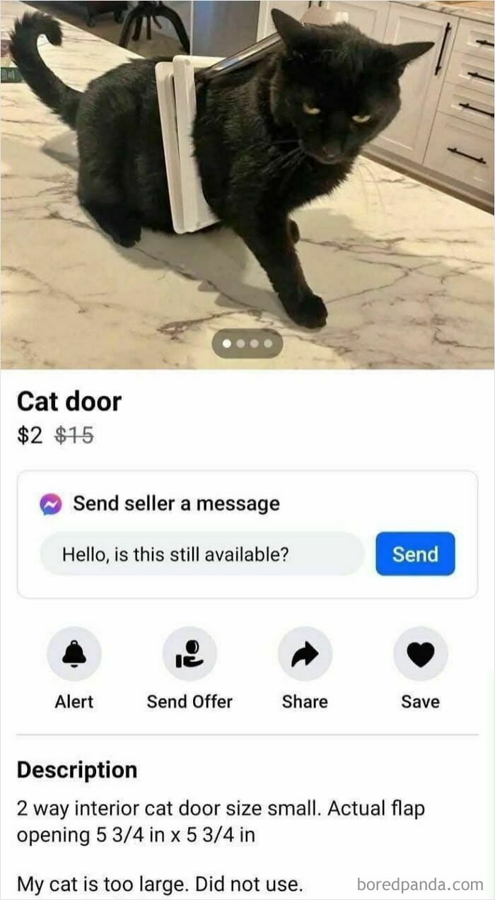 Black cat stuck in a small cat door listed on FB Marketplace in a humorous and unhinged post.