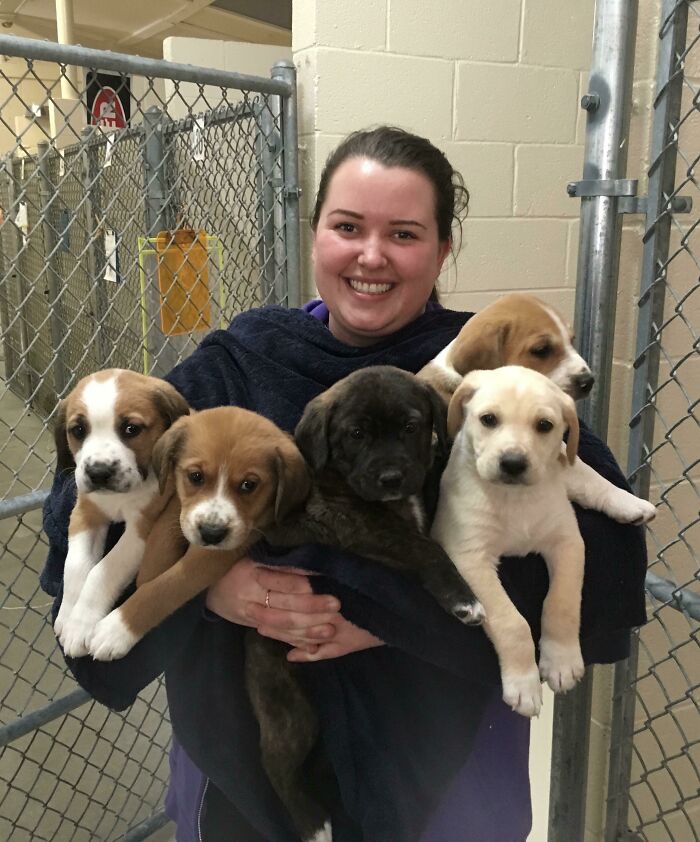 Woman smiling while holding five puppies inside a kennel, showcasing moments of dreams turned into reality and inspiring the internet.