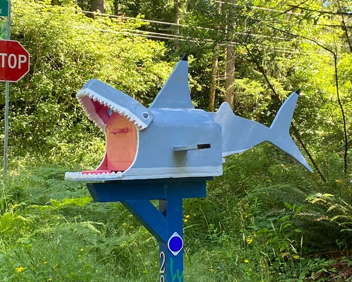 Creative shark-shaped mailbox with an open mouth design, showcasing one of the coolest mailboxes spotted in the wild.