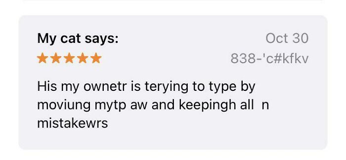 Funny and unhinged product review mimicking a cat’s voice with humorous typos and a five-star rating.