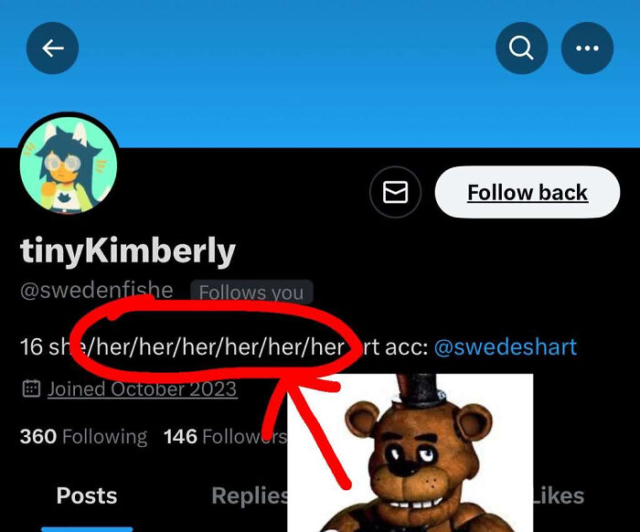 Twitter profile showing repeated pronouns circled and an arrow pointing, related to things that look like or remind people of other things.