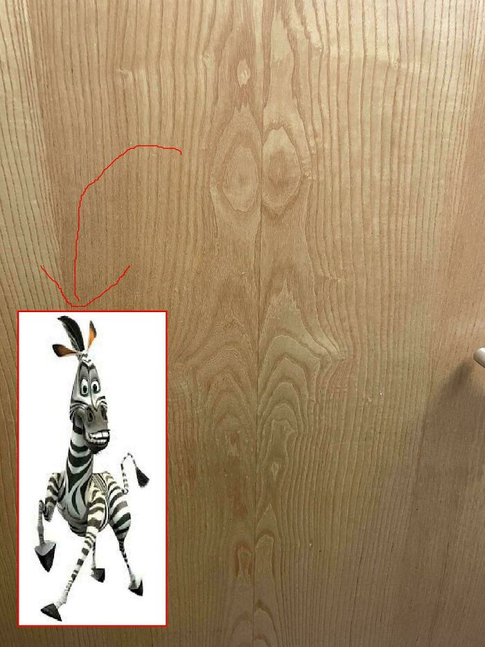 Wood grain pattern on door resembling a cartoon zebra, an example of things that look like other things in nature and everyday objects.