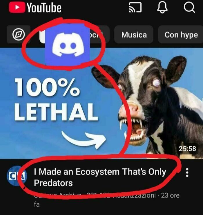 Image showing a video thumbnail with a cow that looks menacing, illustrating things that look like or remind people of other things.