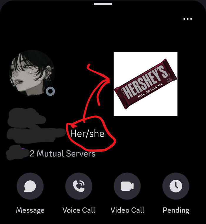 Discord profile screen showing a username with a red arrow pointing to a Hershey's chocolate bar, illustrating things that look like others.