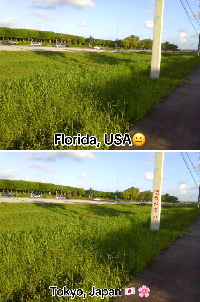 Side-by-side photos of a grassy roadside in Florida and the same scene labeled Tokyo Japan with Japanese text on a pole.