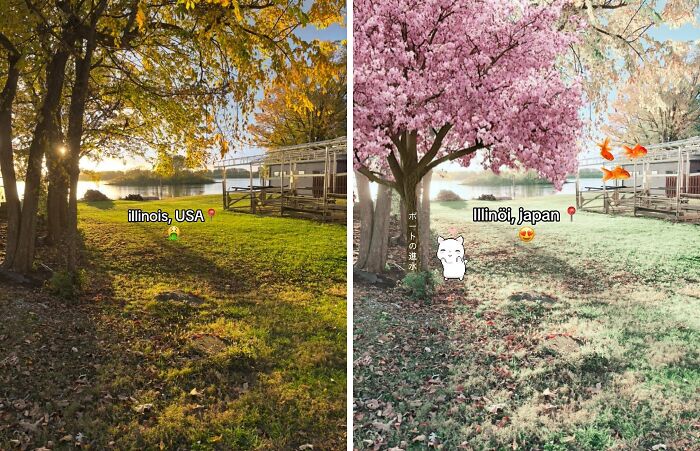 Side-by-side photos showing a park in Illinois transformed by adding Japan aesthetic elements like cherry blossoms and koi fish.