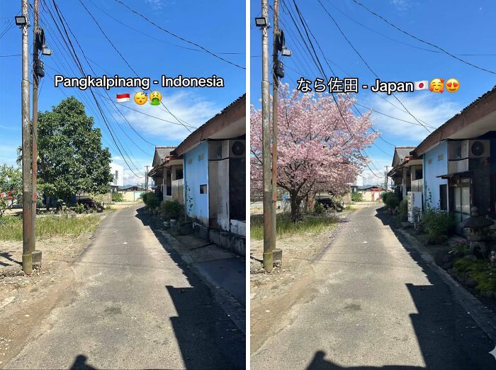 Side-by-side street photos showing the aesthetic impact of adding Japan with cherry blossoms in one image.