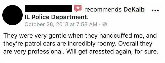 Funny unhinged review praising DeKalb Police Department for gentle handcuffing and roomy patrol cars with humor.