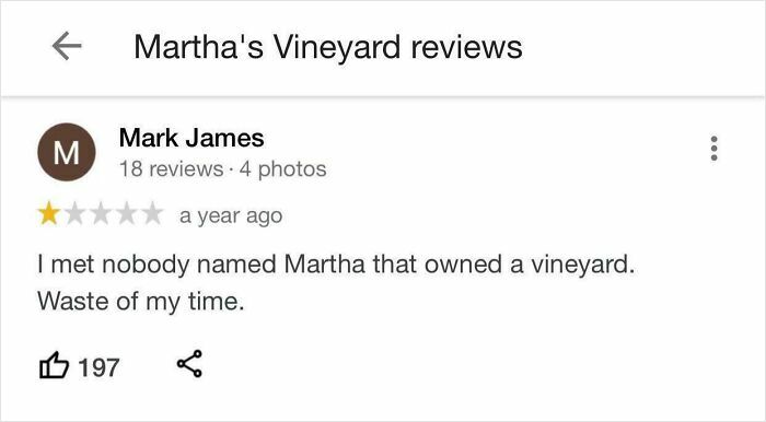 Screenshot of a hilariously unhinged review on Martha's Vineyard with a one-star rating and sarcastic comment.