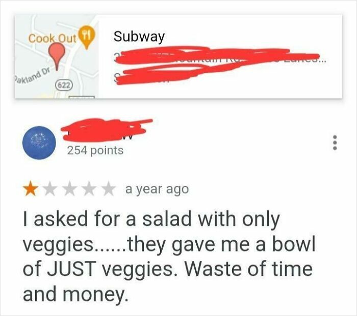 Unhinged review of Subway salad with only veggies, calling it a waste of time and money in a hilariously unhinged review.