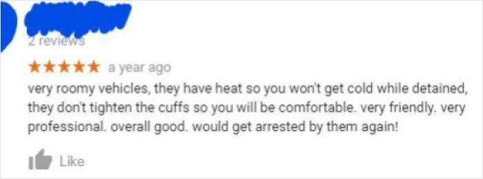 Five-star hilariously unhinged review praising roomy vehicles and comfort, inspiring humorous positive feedback.