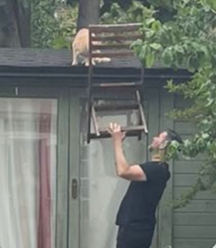 Man holding up a chair to a roof where an animal is stuck, showcasing animal rescue and stuck animals moments.