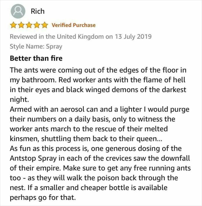 Customer review describing an unhinged experience with ants and effectiveness of an ant spray in hilarious detail.