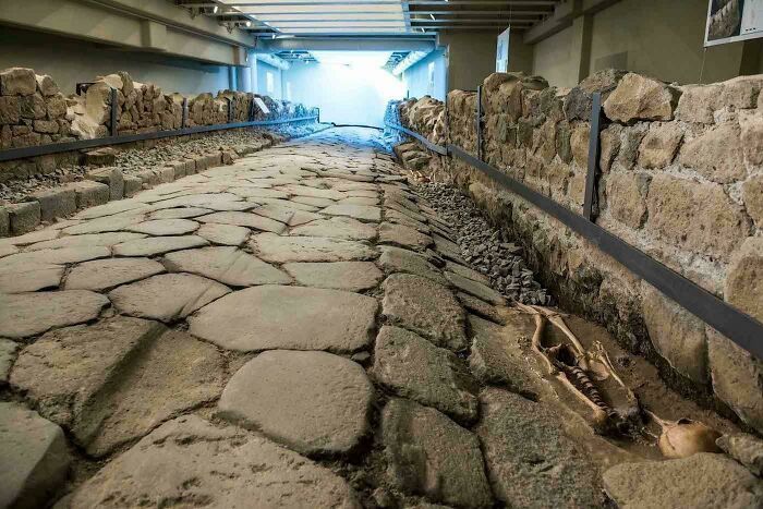 Ancient stone road with skeleton remains displayed in an archeology site showcasing fascinating finds from around the world