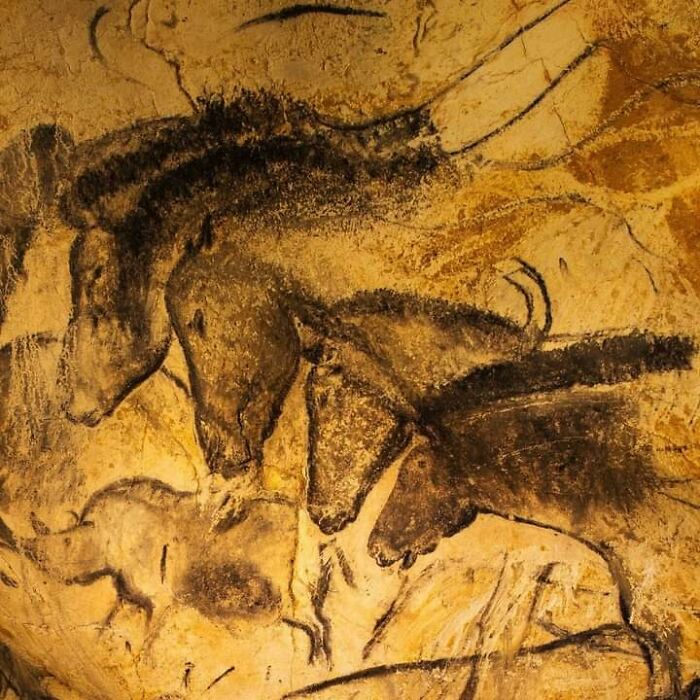 Ancient cave painting of horses on a rock wall, showcasing fascinating archeology finds from around the world.