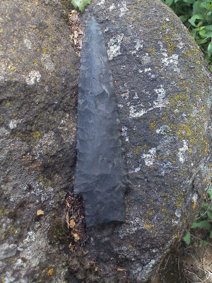 Flint arrowhead discovery resting on mossy rock, showcasing an intriguing archeology find from around the world.