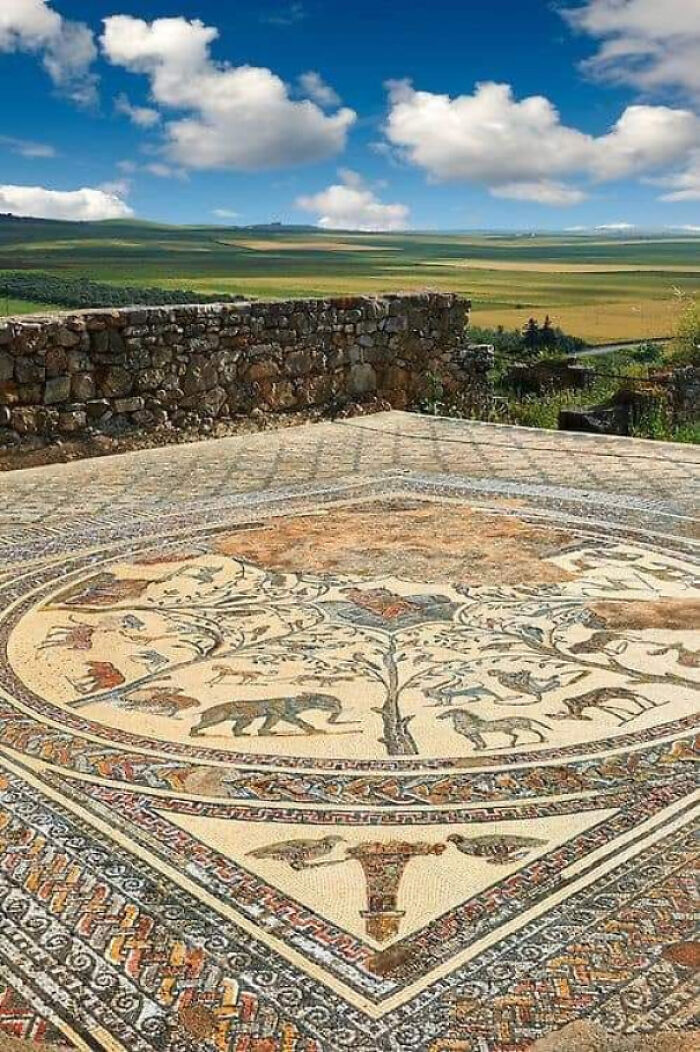 Ancient mosaic floor with animal and tree designs as a fascinating archeology find in an open landscape setting.