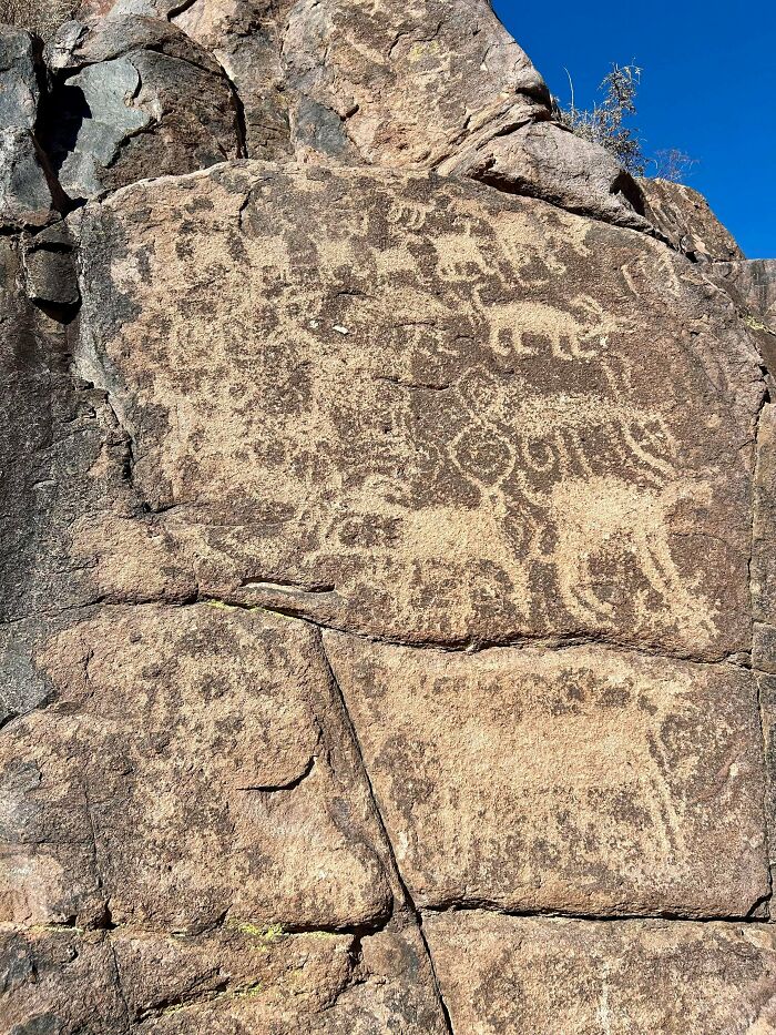Ancient petroglyphs of animals and symbols carved into rock, showcasing fascinating archeology finds from around the world.