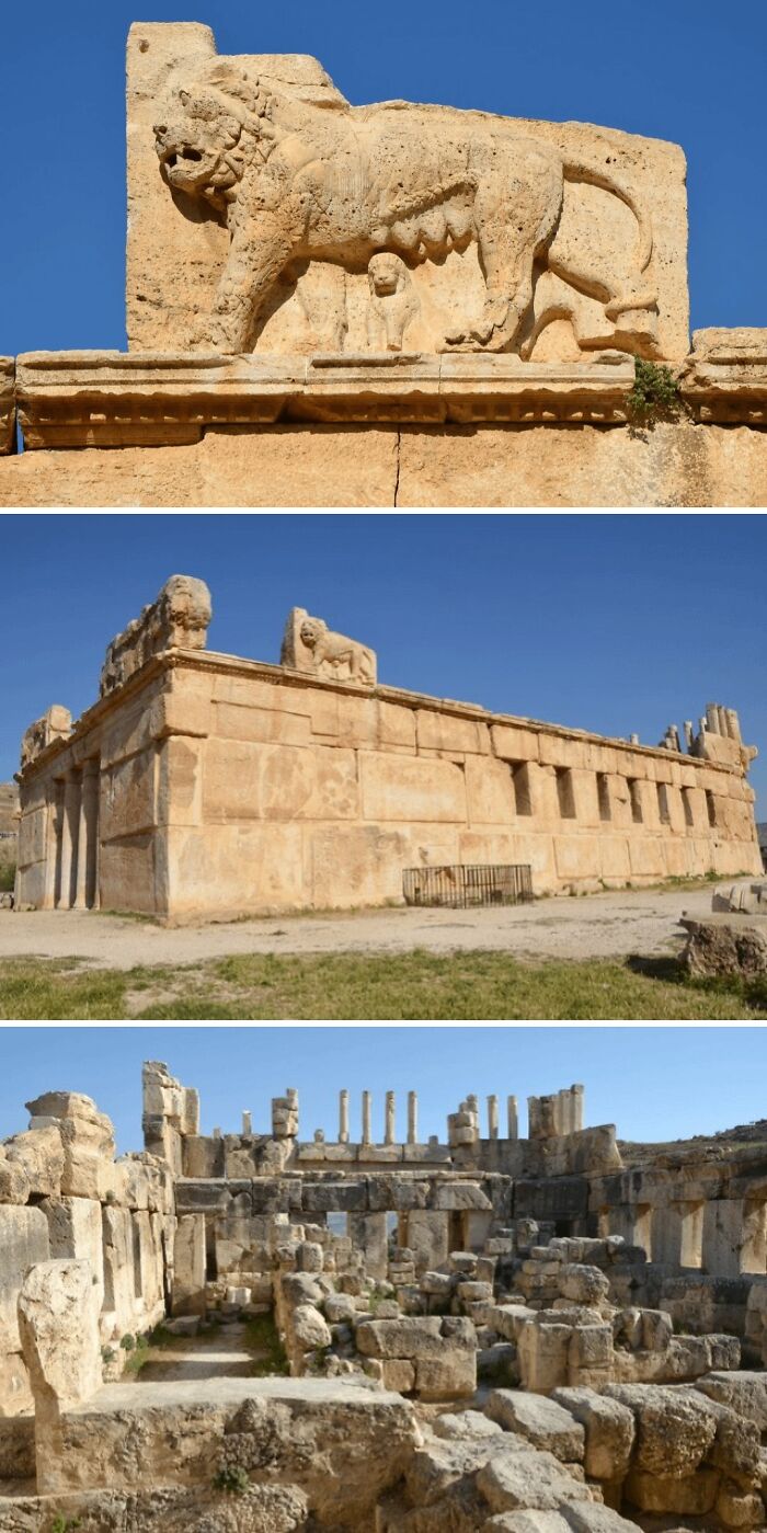 Ancient archeology finds showing stone lion carvings and ruins from a historic site under clear blue skies.