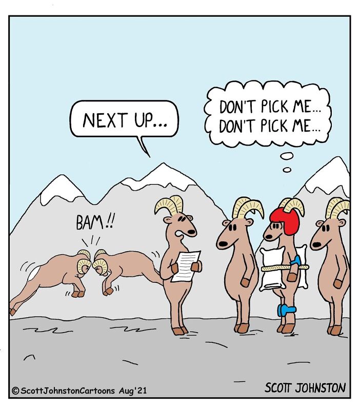 Funny cartoon shows rams with helmets and gear ready to fight, one ram nervously hoping not to be picked next.