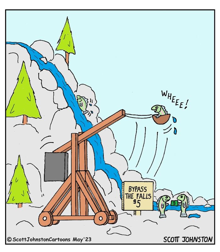Cartoon of fish using a catapult to bypass waterfall, illustrating funny cartoons that might brighten your day.