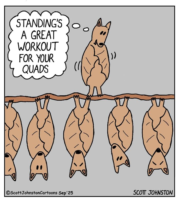 Cartoon of a standing bat on a branch thinking standing is a great workout, surrounded by hanging bats in funny cartoons.