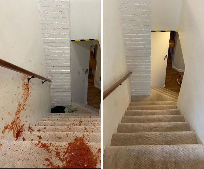 The Very Specific Red Wine Stain From Last Christmas That Tells A Very Long, Slightly Incriminating Story Can Be Completely Erased From The Record With Some Folex Instant Carpet Spot Remover 