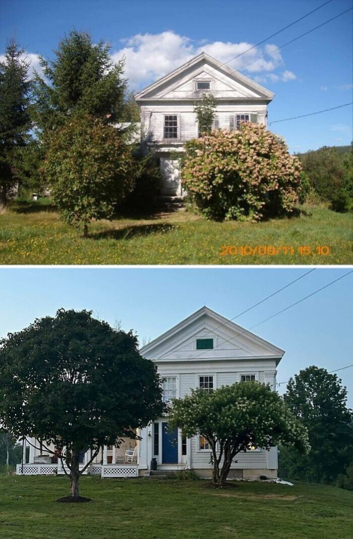Beautiful old house surrounded by trees and greenery, showcasing craftsmanship that has stood the test of time.