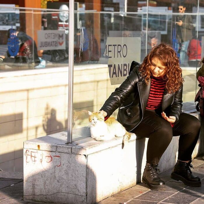 Woman in black leather jacket petting a cat at a metro stop in Istanbul, highlighting the city of cats culture.