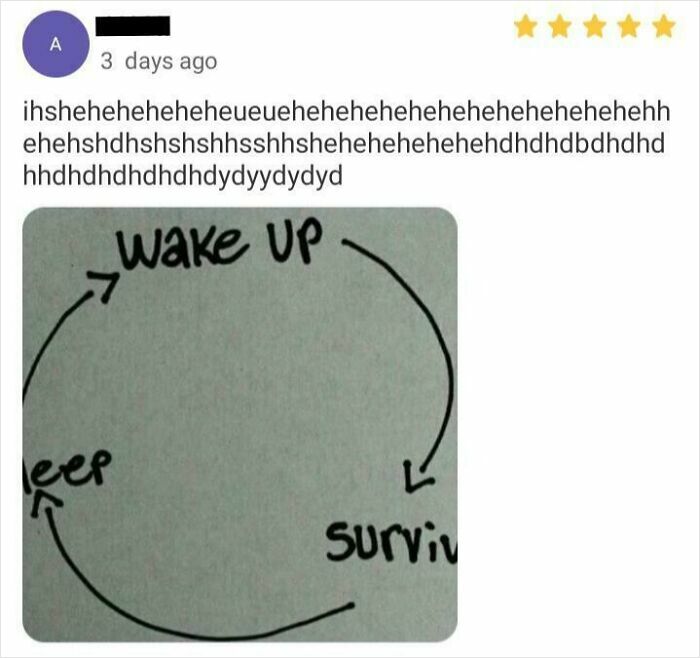 Hilariously unhinged review with a chaotic circle diagram showing wake up, survive, and sleep cycle.