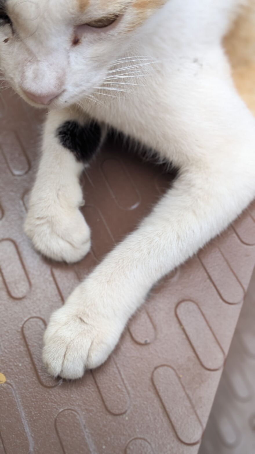 The Universe Sent Me Heart-Shaped Things When I Needed Hope &mdash; A Tiny Selection Of My Heart Shape Pictures