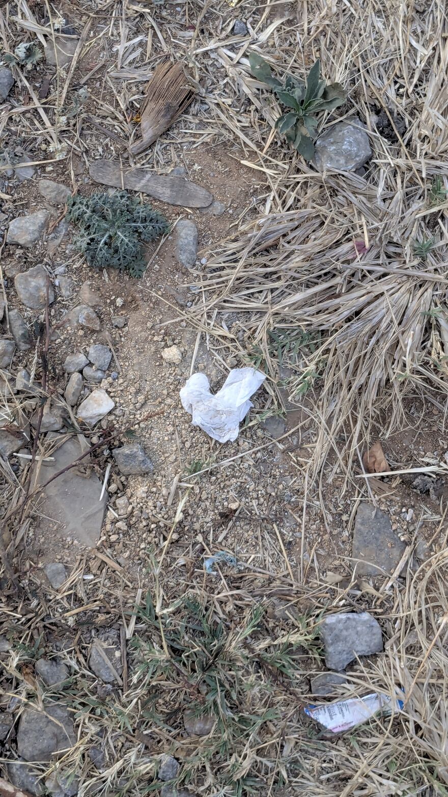 The Universe Sent Me Heart-Shaped Things When I Needed Hope &mdash; A Tiny Selection Of My Heart Shape Pictures