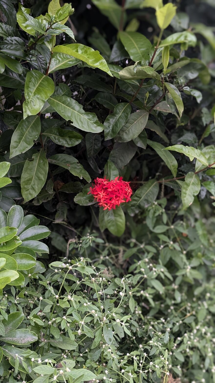 The Universe Sent Me Heart-Shaped Things When I Needed Hope &mdash; A Tiny Selection Of My Heart Shape Pictures