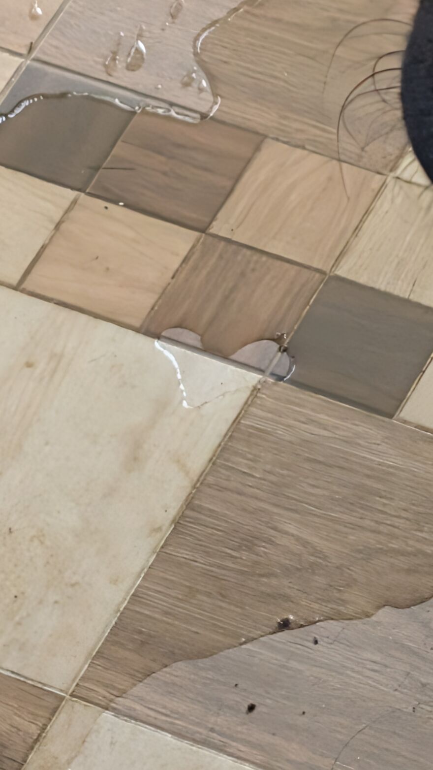 The Universe Sent Me Heart-Shaped Things When I Needed Hope &mdash; A Tiny Selection Of My Heart Shape Pictures