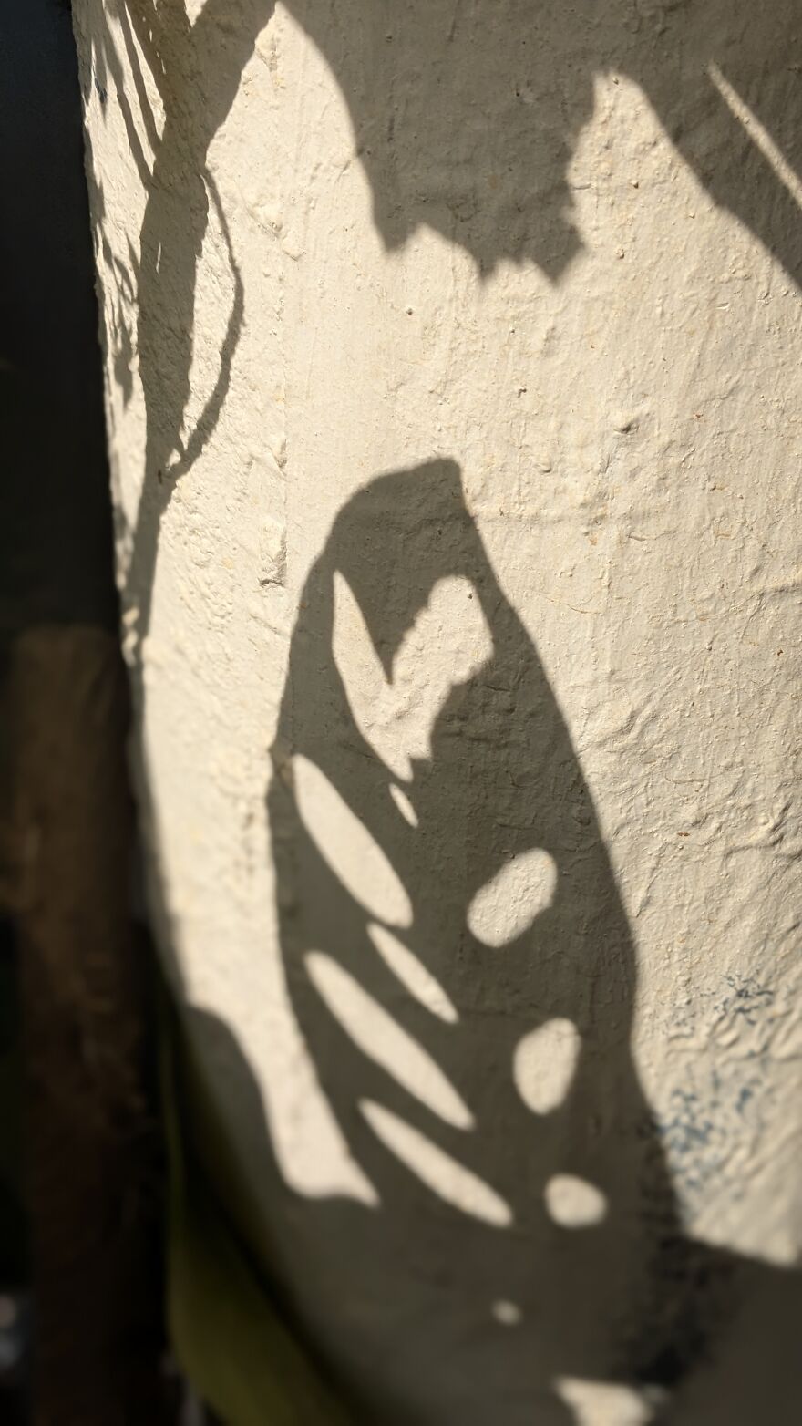 The Universe Sent Me Heart-Shaped Things When I Needed Hope &mdash; A Tiny Selection Of My Heart Shape Pictures