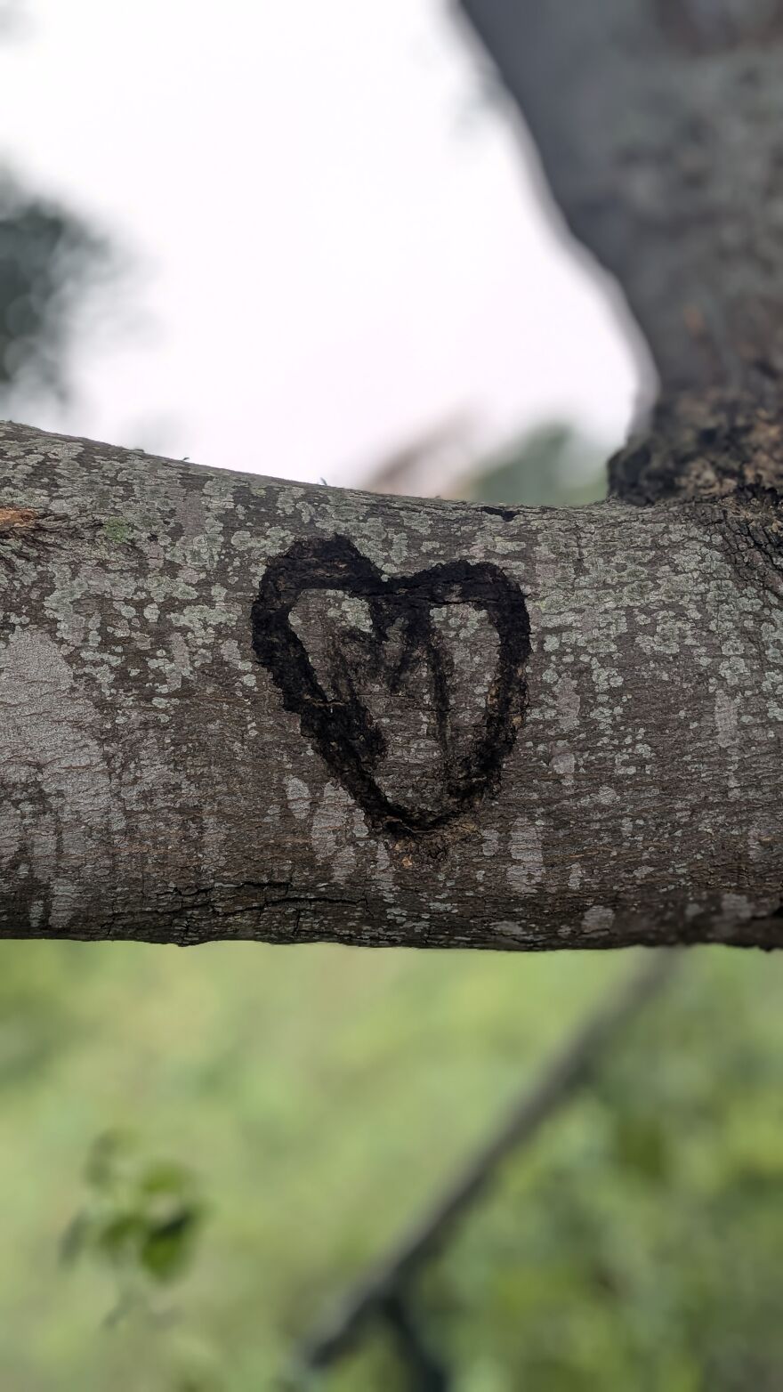 The Universe Sent Me Heart-Shaped Things When I Needed Hope &mdash; A Tiny Selection Of My Heart Shape Pictures