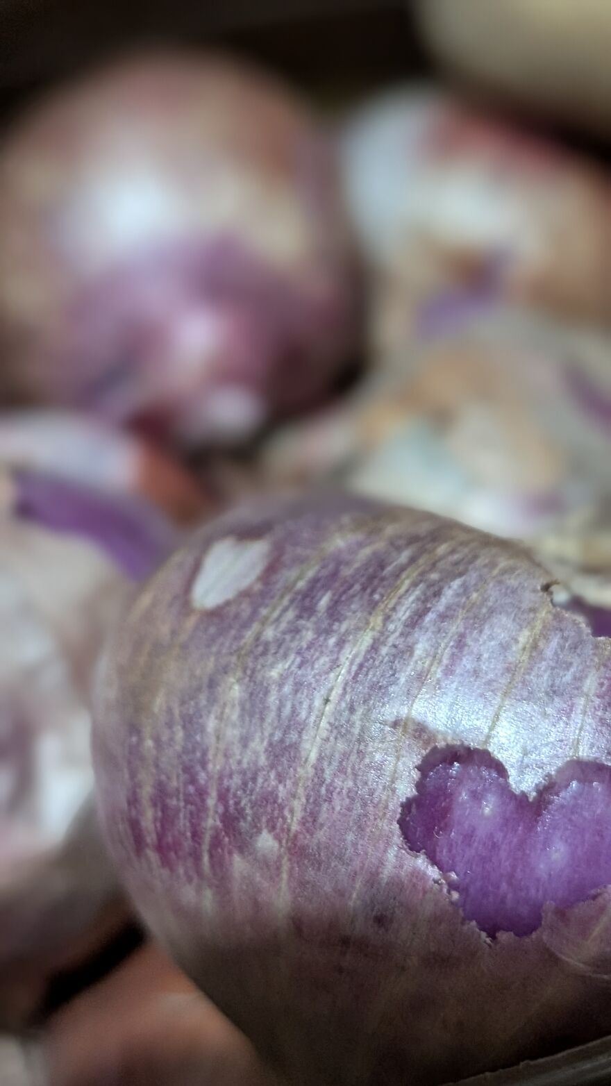 The Universe Sent Me Heart-Shaped Things When I Needed Hope &mdash; A Tiny Selection Of My Heart Shape Pictures