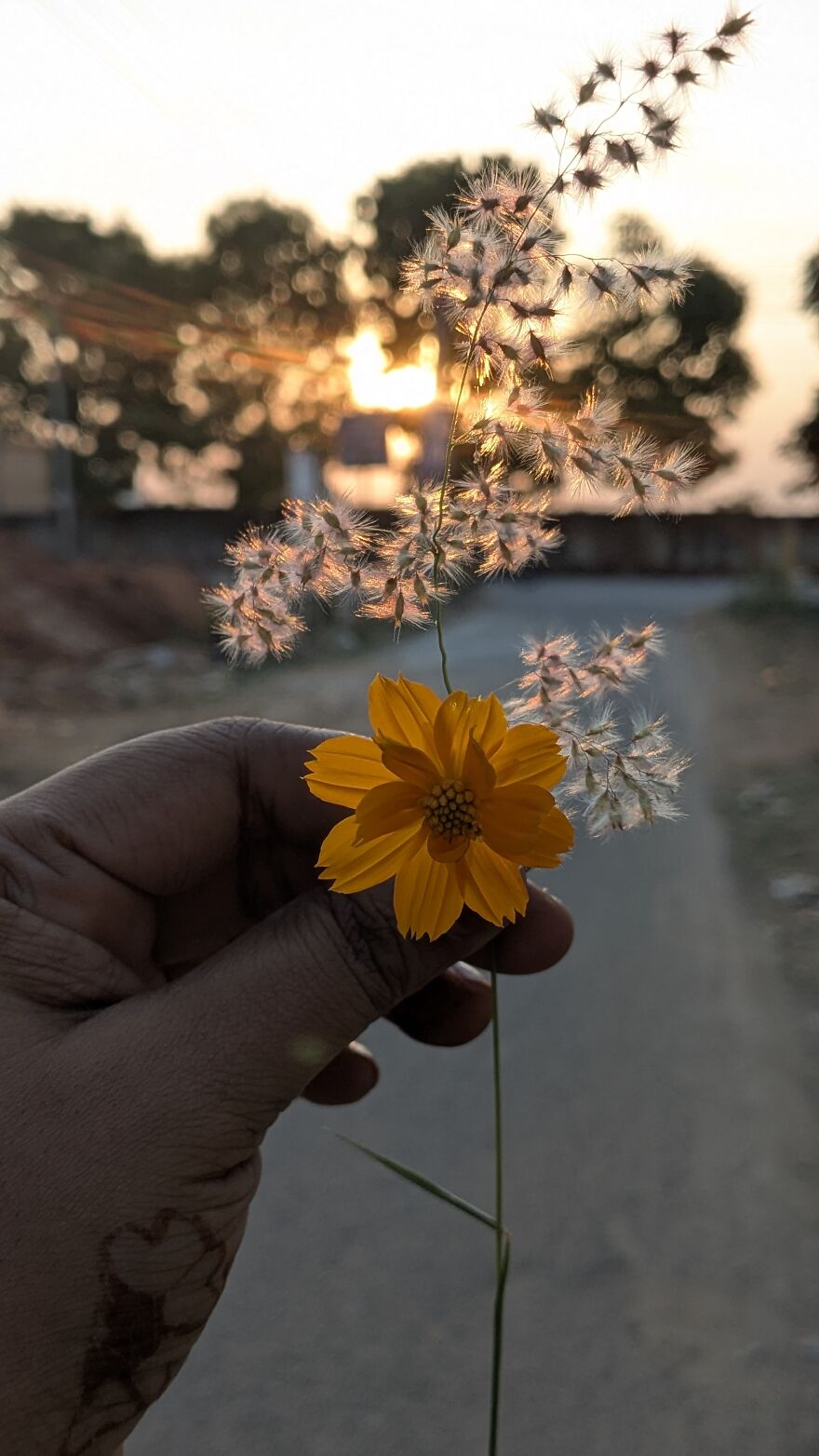 The Universe Sent Me Heart-Shaped Things When I Needed Hope &mdash; A Tiny Selection Of My Heart Shape Pictures