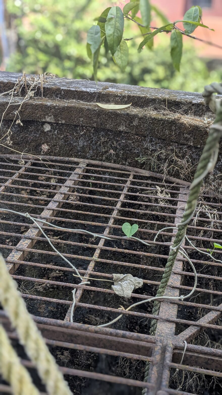 The Universe Sent Me Heart-Shaped Things When I Needed Hope &mdash; A Tiny Selection Of My Heart Shape Pictures