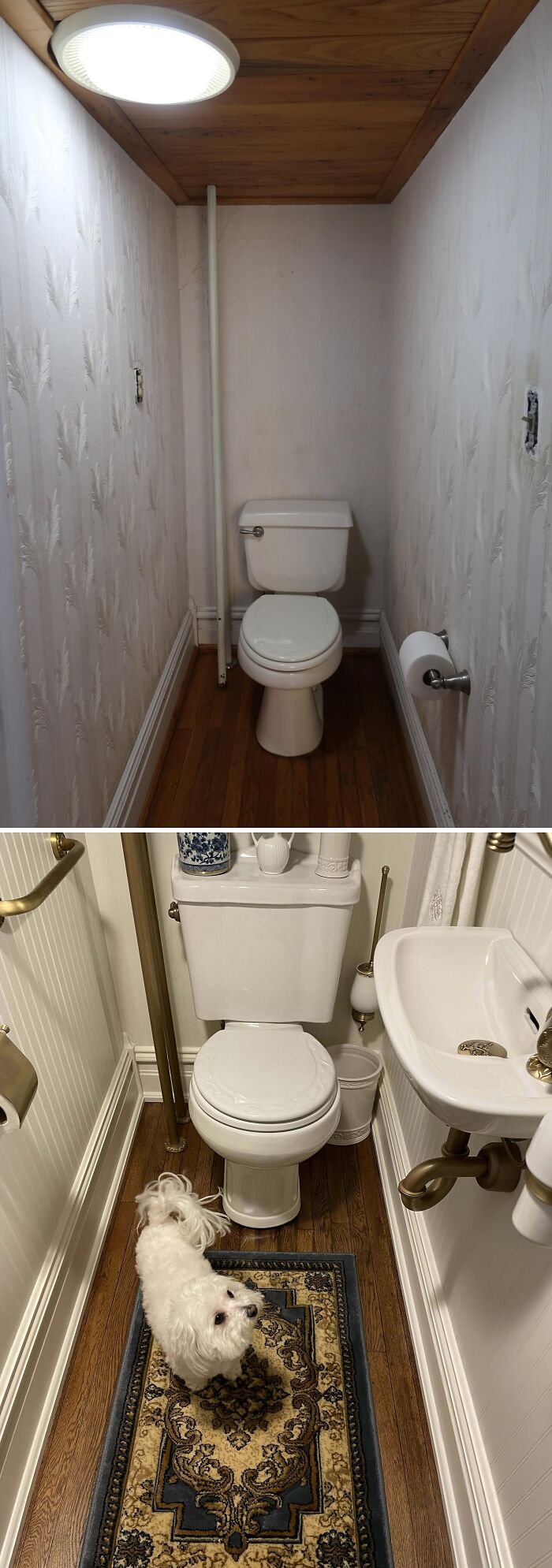 Before and after photos of beautifully decorated homes showing a renovated bathroom with a small dog on a decorative rug.