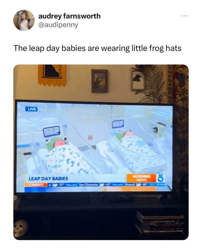Two newborn babies wearing frog hats shown on a live news broadcast, highlighting wholesome internet moments.