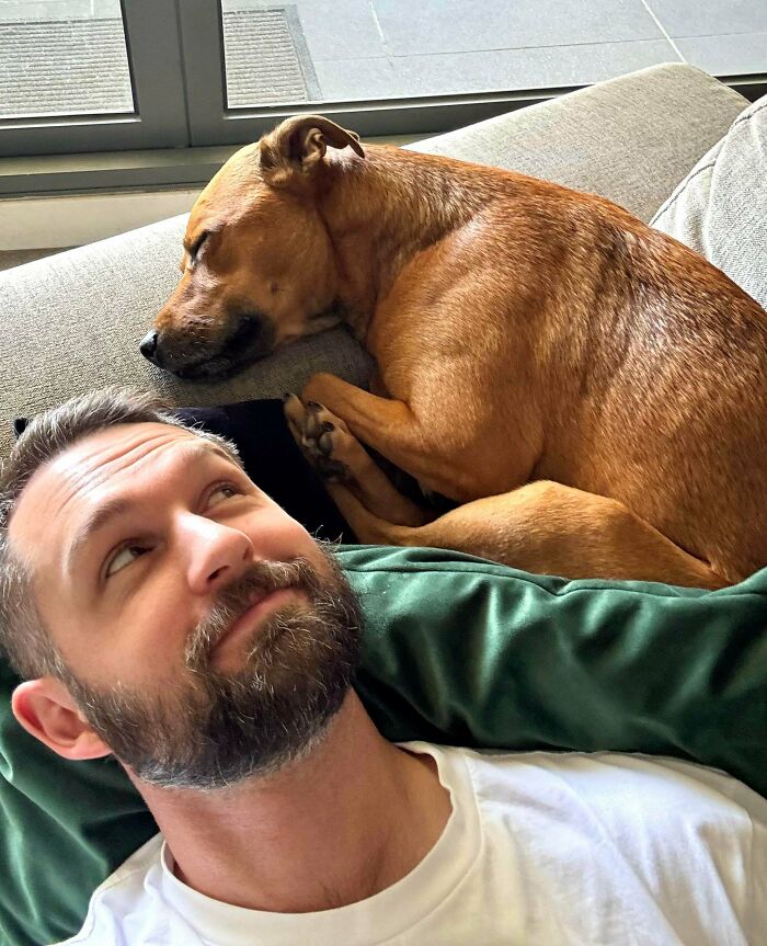 Man with beard relaxing on couch next to sleeping brown dog, showing how dogs make our lives better with companionship.