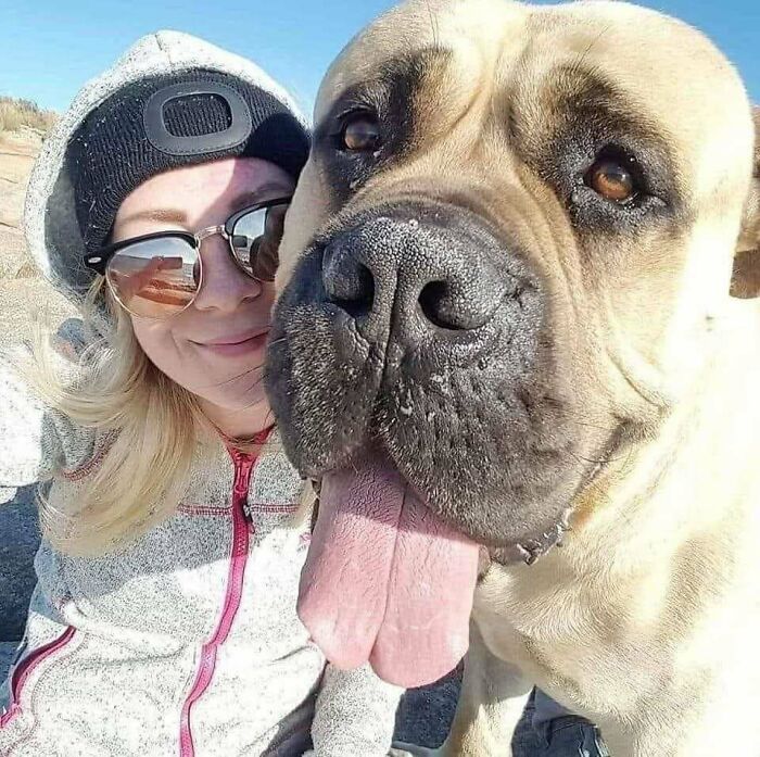 Woman with sunglasses and beanie smiling next to a large dog with tongue out, showing how dogs make our lives better