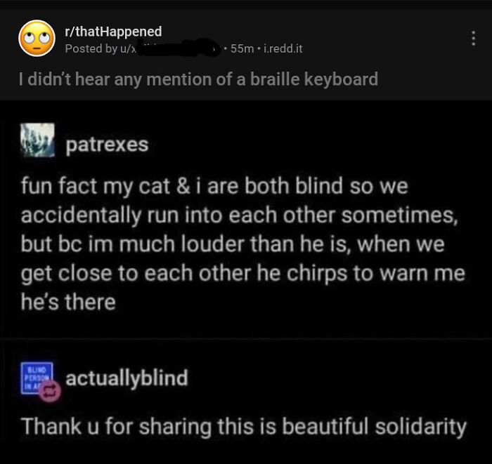 Online group call out people who question stories with blind cat owner sharing a supportive message.