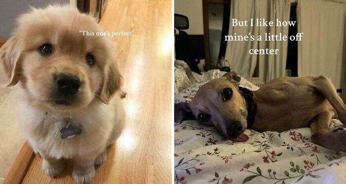 40 Beautiful Photos Showing People Celebrating What Makes Them Unique