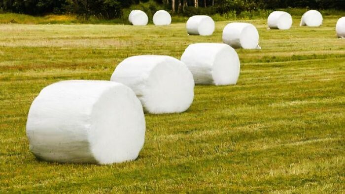 Wrapped hay bales in a field under sunlight, symbolizing natural elements linked to forbidden foods to avoid.