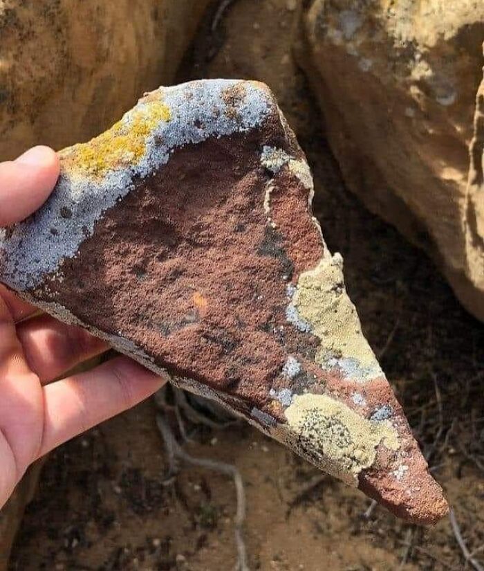 Hand holding a rock that looks like a moldy pizza slice, illustrating a concept related to forbidden foods.